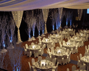 Winter Wonderland Wedding Decor