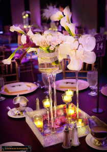 Bay Area South Asian Indian Wedding Decor 