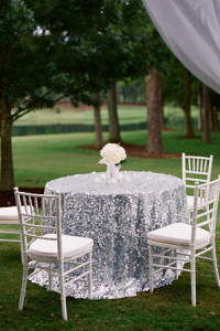 Sequin Tablecloth & Rentals