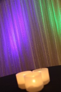 Bay Area-Cheap-Wedding-Flowers-Centerpiece-Ideas-Under-25.00
