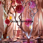 DIY-Centerpiece-Rentals-Sacramento-Manzanita-Branches-Ideas