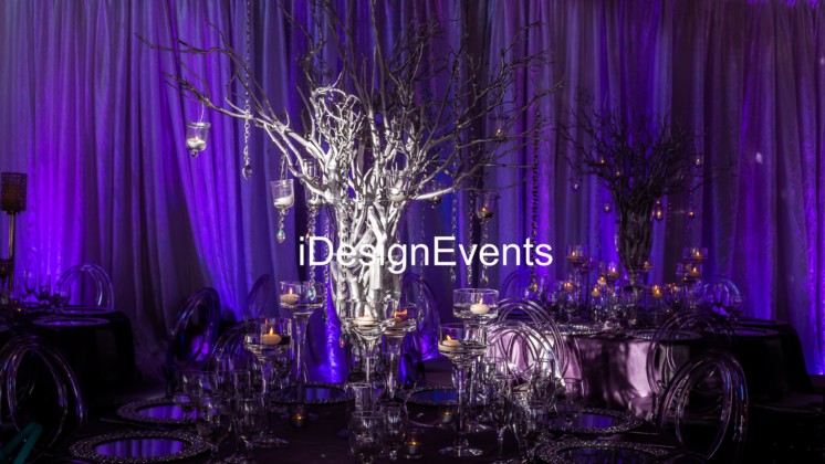 Lavender-purple-silver-wedding-reception-ideas